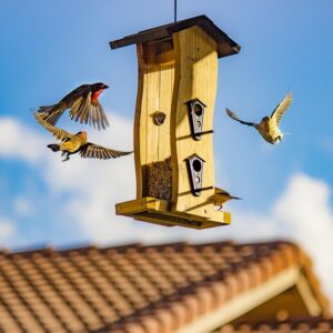 Free Architecture Bird House photo and picture