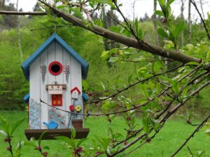 Free Bird House Garden photo and picture