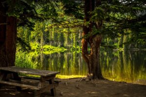 Free Bench Lake photo and picture