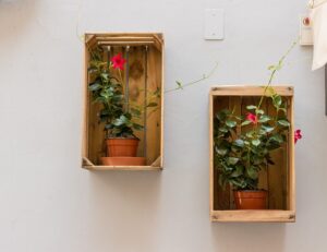 Free Plant Pot Box photo and picture