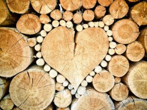 Free Heart Wood photo and picture